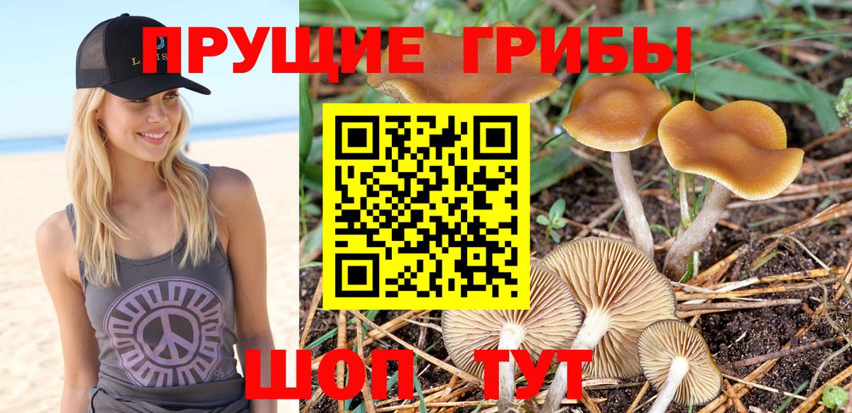 Галлюциногенные грибы мухоморы  Вход с VPN  Псилоцибиновые грибы Psilocybe  Элиста 