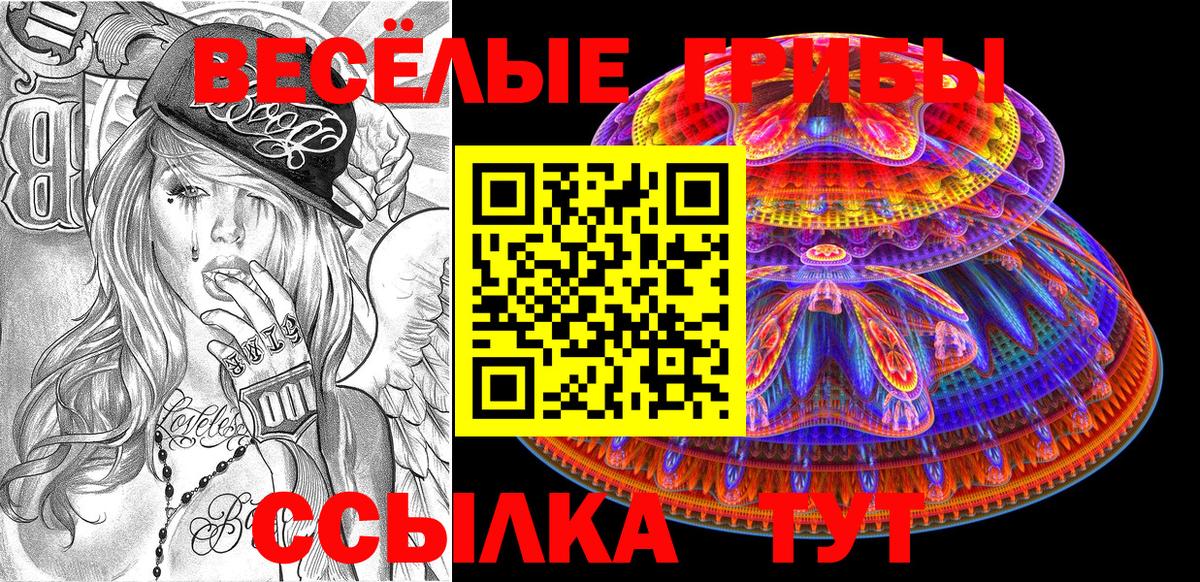 Галлюциногенные грибы GOLDEN TEACHER Элиста